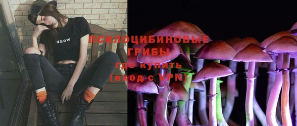 спиды Аркадак