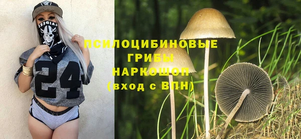 mix Армянск