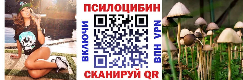 блэк спрут рабочий сайт  Кадников  Псилоцибиновые грибы мухоморы  купить закладку 