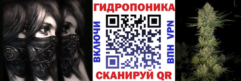 МАРИХУАНА гибрид  Кадников 